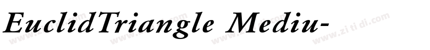 EuclidTriangle Mediu字体转换